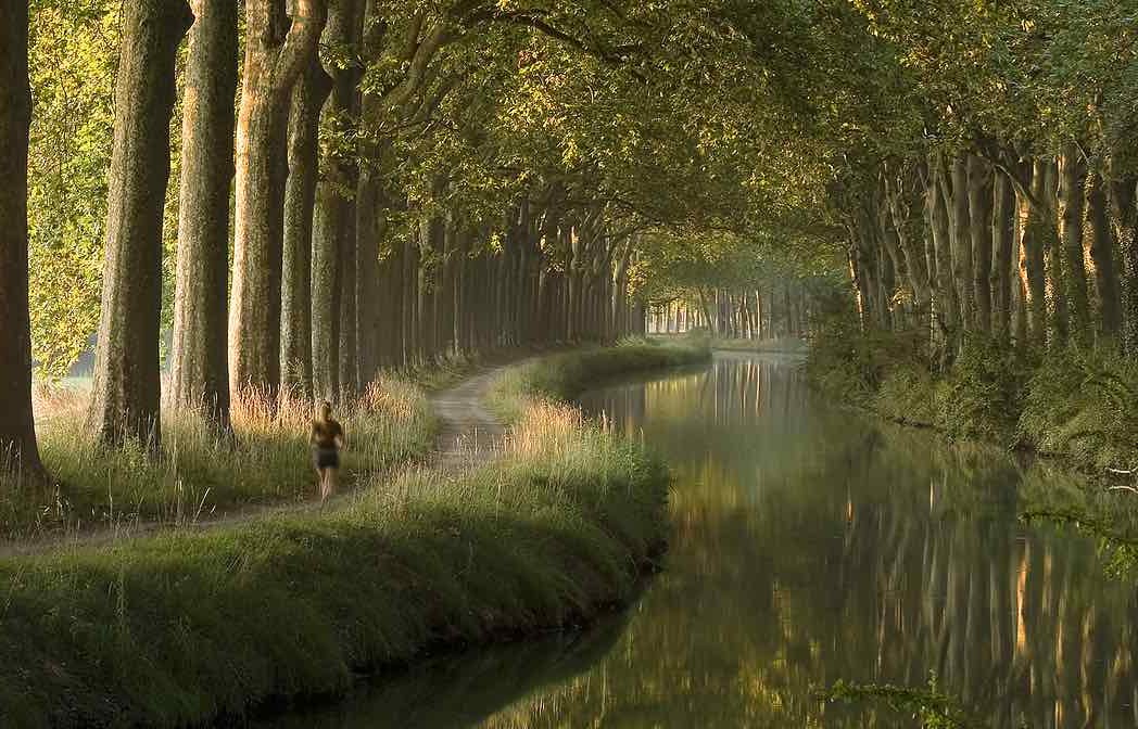 Canal Du Midi In The Morning