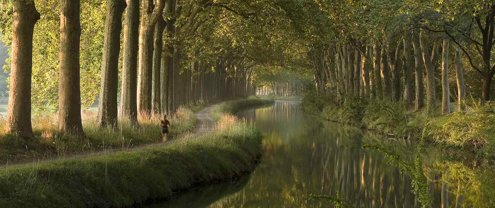 Canal Du Midi In The Morning