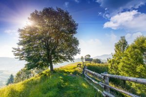 Beautiful sunny day is in mountain landscape. Carpathian, Ukraine, Europe. Beauty world.