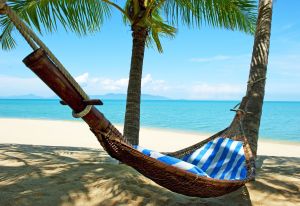 bigstock-Empty-Hammock-Between-Palms-Tr-26258261 copy