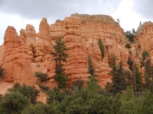 Rocky Mountain in National Park (USA)