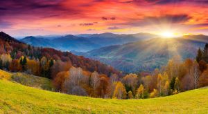 the mountain autumn landscape with colorful forest