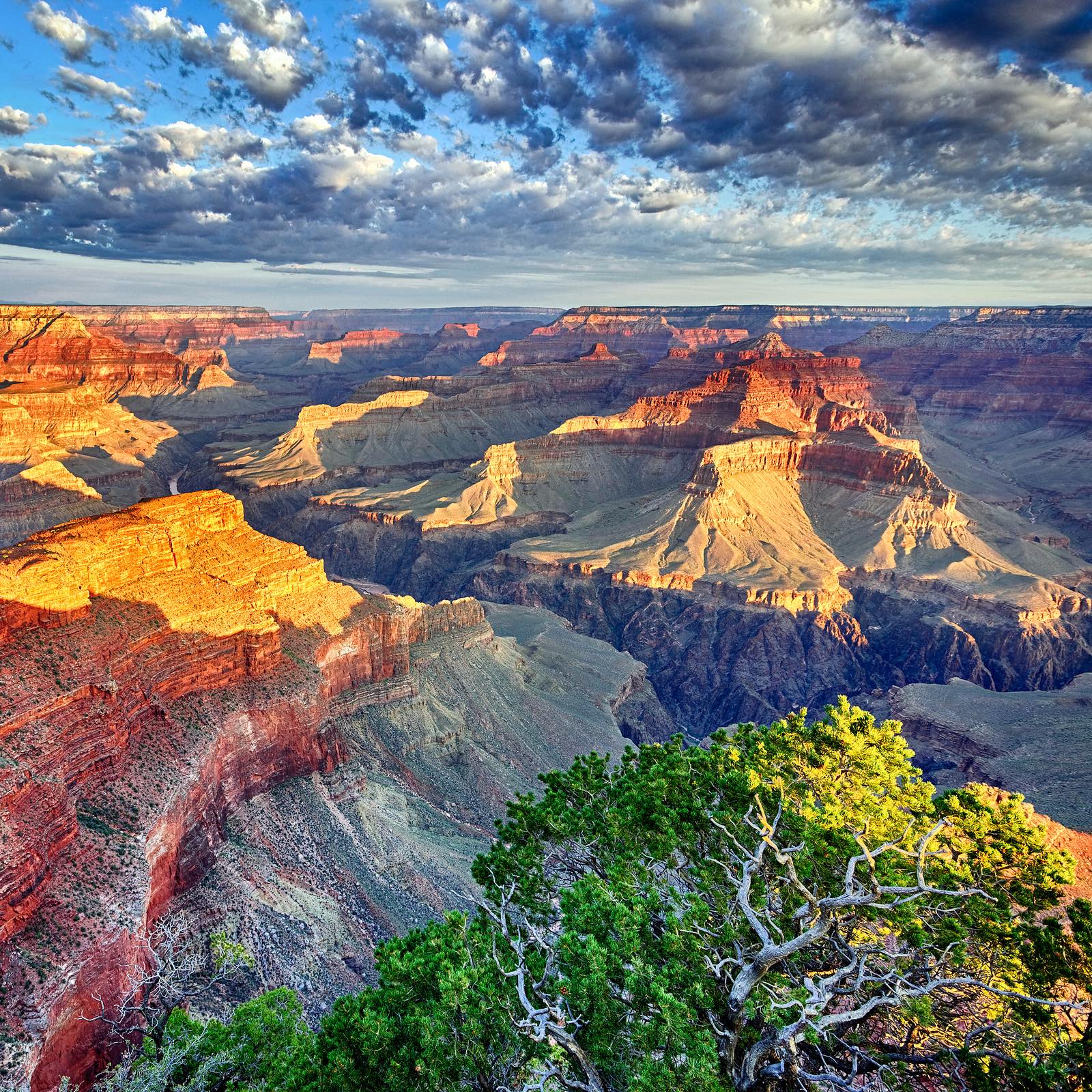 morning light at Grand Canyon – Video And Website Design
